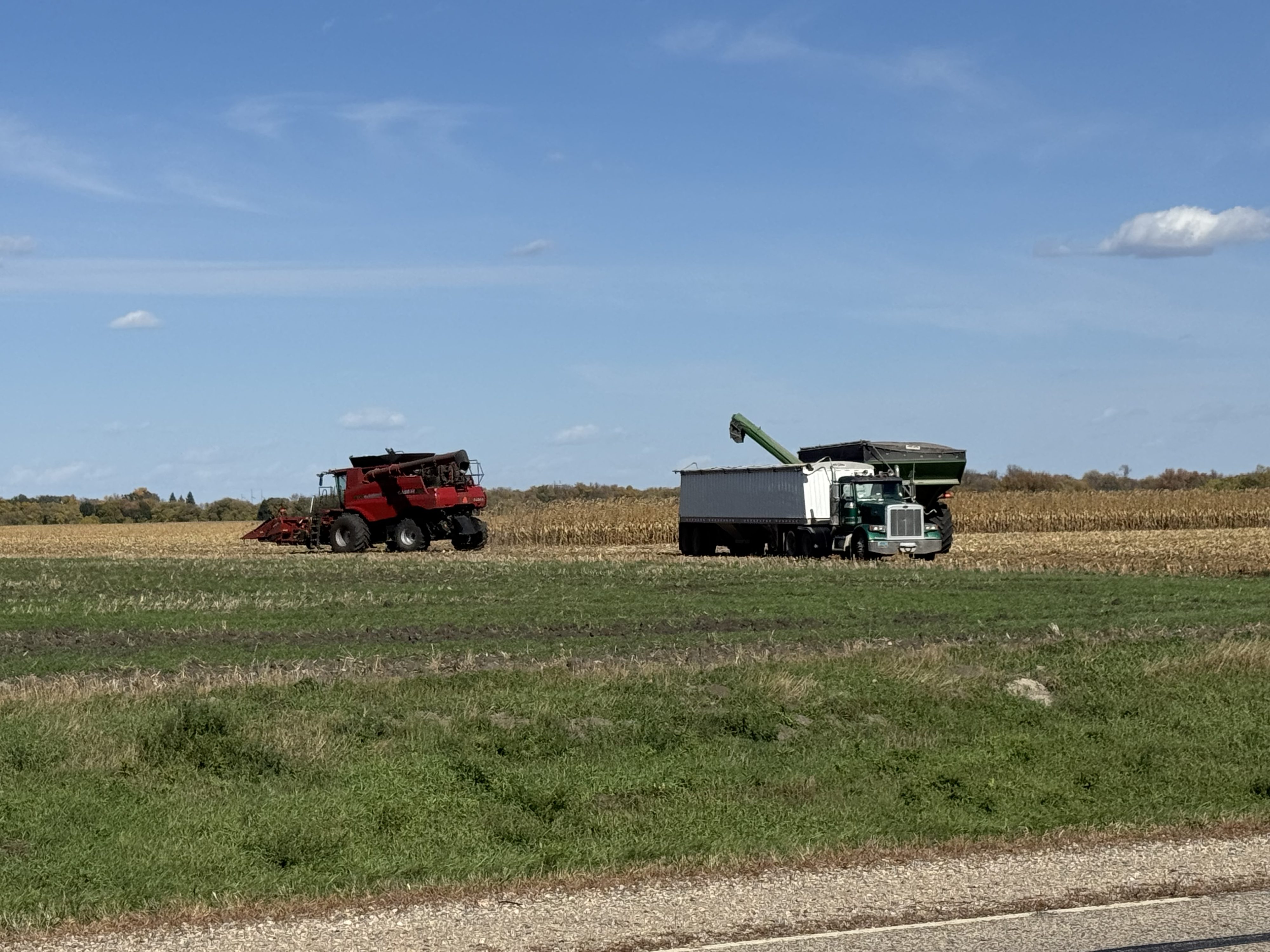 USDA announces record 2025 crop year safety net program payments — KFGO, Mayville Community news
